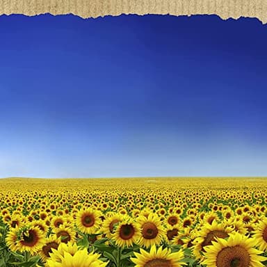 Hellmann's Vegan Dressing and Spread Vegan 3 Ct for a Rich, Creamy Plant-Based Alternative to Mayo Same Great Taste, Plant Based, Free From Eggs 11.5 oz - Image 15