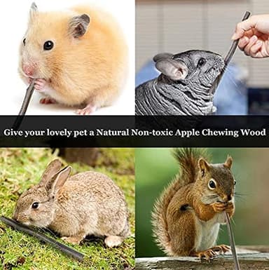 Natural Apple Sticks 10oz(300g) Small Animals Molar Wood Treats Toys Chinchilla Guinea Pig Hamster Rabbit Gerbil Parrot Bunny and Small Animals Chew Stick Toys Treats - Image 5