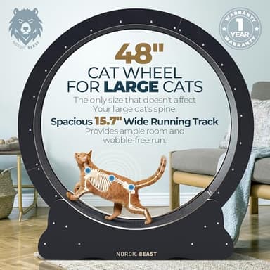 Nordic Beast 48'' XL Cat Wheel - for Indoor Cats Which Doesn't Negatively Affect Your Cat's Spine - 15.7'' Extra Wide Cat Exercise Wheel - Fits 2 Cats Side-by-Side, 1-Year Warranty - Image 4