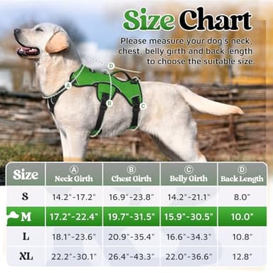 rabbitgoo Escape Proof Dog Harness, Soft Padded Full Body Pet Harness, Reflective Adjustable No Pull Vest with Lift Handle and Lesh Clip for Large Dogs Walking Hiking Training, M, Green - Image 2