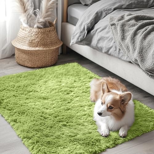 OLANLY 2x3 Machine Washable Small Bedside Rug, Soft Fluffy Shaggy Entryway Throw Rugs for Bedroom, Living Room, Indoor Floor Carpet for Kids Girl Boy, Nursery Rooms, Home Decor Aesthetic, Grass Green - Image 1