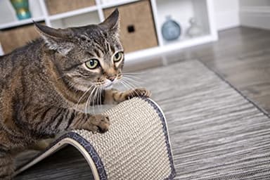 SmartyKat Sisal Angle Ramp Cat Scratcher for Indoor Cats & Kittens, Durable Sisal & Wood Scratching Pad, Includes Catnip, Gray/Taupe - Image 6