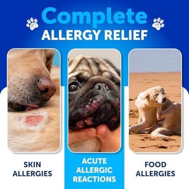 Dog Allergy Relief Chews - Itching Skin Relief for Dogs - 180 Soft Treats - Fish Oil - Omega 3 - Seasonal Allergies Pills - Skin & Coat, Anti Itch,Hot Spots Treatment - Canine Immune Health Supplement - Image 3