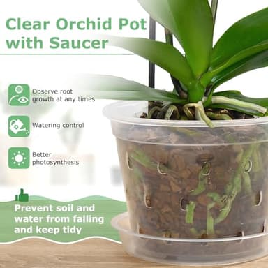 YOPIKUU Orchid Pot, 8 Pack 6 Inch Orchid Pots with Holes and Saucers, Clear Plastic Flower Plant Pot for Indoor Outdoor Plants, Slotted Orchids Planter(6Inch) - Image 4