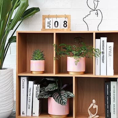 Gepege Pink Indoor Plant Pots for Plants, Ceramic Planter with Drainage Hole, 6.0 inch+5.0 Inch+4.0 Inch. Succulent Orchid Flower Pot - Rainbow Pearl Glaze - Image 6