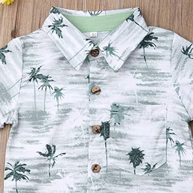 VISGOGO Toddler Baby Boy Flamingo Short Sleeve Button Down Shirt & Casual Shorts Set Summer Outfits 1-6 Years Clothes - Image 4