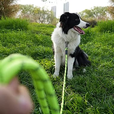NTR 20FT Training Leash for Dogs, Reflective Nylon Rope with Swivel Lockable Hook and Comfortable Handle, Suitable for Small to Large Dogs - Teal - Image 6