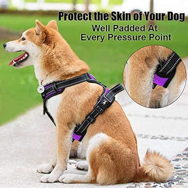 PoyPet No Pull Dog Harness, Reflective Comfortable Vest Harness with Front & Back 2 Leash Attachments and Easy Control Handle Adjustable Soft Padded Pet Vest for Small to Large Dogs (Purple,M) - Image 4