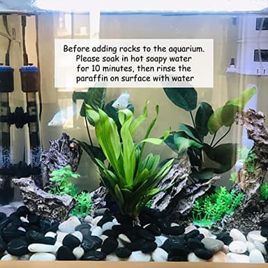 FANTIAN 40 lbs Black River Rocks for Landscaping, 2-3 inch Pebbles for Indoor Plants, Large Decorative Stones for Planters Aquarium Fish Tank and Garden Rocks - Image 5