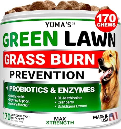 YUMA'S Dog Urine Neutralizer for Lawn - 170 Chews - Advanced Grass Green Savers for Dog Urine - Canine Pee Grass Neutralizer Supplement - Green Lawn Treats with Probiotics and Digestive Enzymes - Image 1