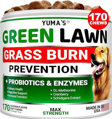 YUMA'S Dog Urine Neutralizer for Lawn - 170 Chews - Advanced Grass Green Savers for Dog Urine - Canine Pee Grass Neutralizer Supplement - Green Lawn Treats with Probiotics and Digestive Enzymes - Image 1
