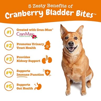 Zesty Paws Cranberry Supplement for Dogs - Bladder Control for Dogs - Urinary Tract Support - Cranberry Chews with D-Mannose, Vitamin B6 & L-Arginine - Immune & Gut Support - Bacon - 90 Count - Image 2