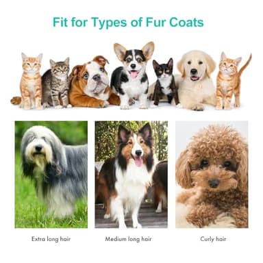 Neakasa P1 Pro Pet Grooming Kit & Vacuum Suction 99% Pet Hair, Professional Clippers with 5 Proven Grooming Tools for Dog and Cat - Image 4