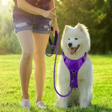 BARKBAY Dog Harness No Pull with ID Tag Pocket - Heavy Duty, Reflective, Easy Control for Large Dogs(Purple,L) - Image 8