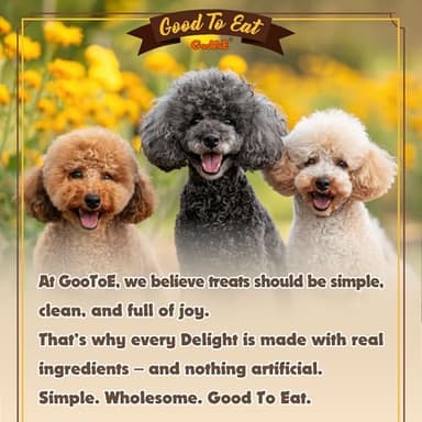 Gootoe Turkey Tendon Dog Treats, Rope (L) 1 lb, USA-Sourced Turkey Tendon, Natural Snack, Premium Puppy Chews, Hypoallergenic, Rawhide Free, Reseal Value Bag, Sizes for Large Dogs - Image 7