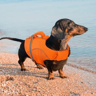 Queenmore Dog Life Vest, Adjustable Ripstop Dog Life Jacket for Swimming Boating, Doggy Lifesaver with Superior Buoyancy and Rescue Handle, Pet Swimming Vest for Small Dogs（Orange,S） - Image 7