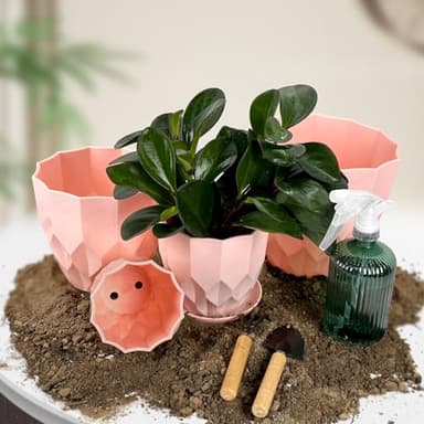 Vodotion Flower Pots, 8.3/7.1/5.9/4.3 inch Nursery Plant Pot with Drainage Holes and Hole Mesh Pad and Saucers Tray for Indoor Garden Plants, Succulent, Orchid and Cactus - Image 2