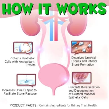 Urinary Tract for Cats, Natural Cat Urinary Tract Infection Treatment Drops Supports Bladder, Kidney Stone, Cat UTI, Cranberry Kidney Bladder Support Supplement, Chicken Flavor - 60ml / 2.02oz - Image 3