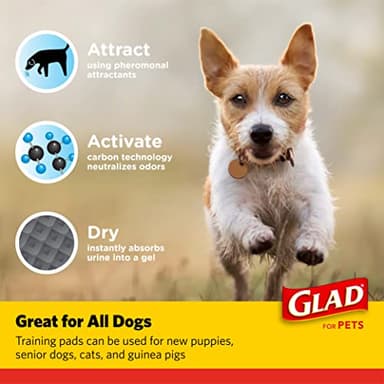 Glad for Pets Black Charcoal Puppy Pads, 23"x23" Disposable Pee Pad That Absorbs & Neutralizes Urine Instantly, Activated Carbon Training Pads For Dogs - 100 Count - Image 4