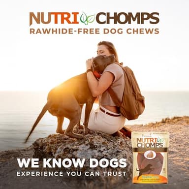 NutriChomps Dog Chews, Ear-Shaped, Easy to Digest, Rawhide-Free Dog Treats, 10 Count, Real Chicken flavor - Image 6