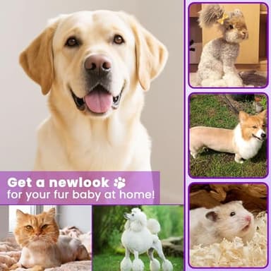 Veeconn Dog Paw Trimmer - 4-in-1 Dog Clippers Grooming Kit with Low Noise & IPX7 Waterproof Design Includes Comb Paw Trimmer Nail Grinder - Rechargeable & Cordless Pet-Friendly Clipper (Purple) - Image 7