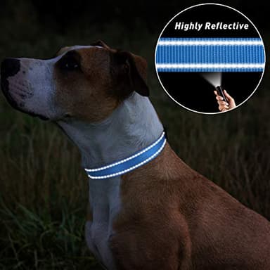 TagME Small Dog Collar, Adjustable Reflective Nylon Pet Collar with Quick Release Buckle, Sky Blue, 5/8" Width - Image 5
