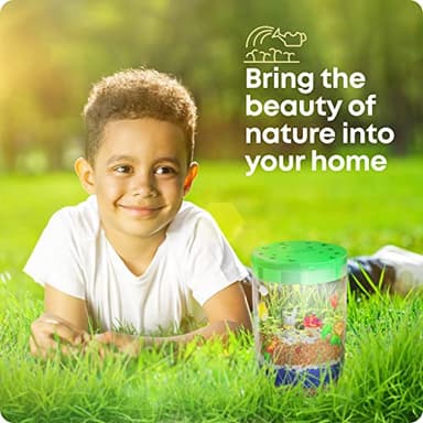 Dan&Darci Light-Up Terrarium Kit for Kids - STEM Science Kit - Educational DIY Toy for Boys & Girls - Birthday Gift - Craft Project Idea for Ages 6 7 8 9 10 11 12 Year Old - Image 8