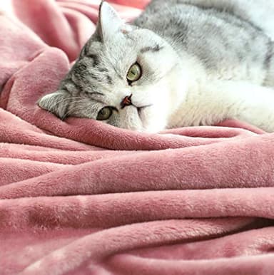 TASTHROW Large Flannel Fleece Throw Blanket, 50×70 Inch - Cozy Lightweight Thick Blanket - All Seasons Suitable for Women, Men and Kids (Pink) - Image 5