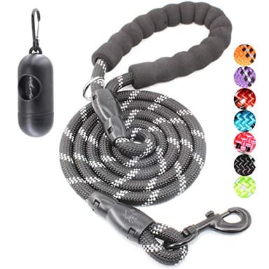 BAAPET 2/4/5/6 FT Dog Leash with Comfortable Padded Handle and Highly Reflective Threads for Small Medium and Large Dogs (6FT-1/2'', Black) - Image 1