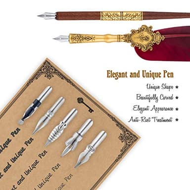 Hethrone Feather Pen and Ink Set - Quill Pens Calligraphy Pen Set Fountain Dip Pen - Image 2