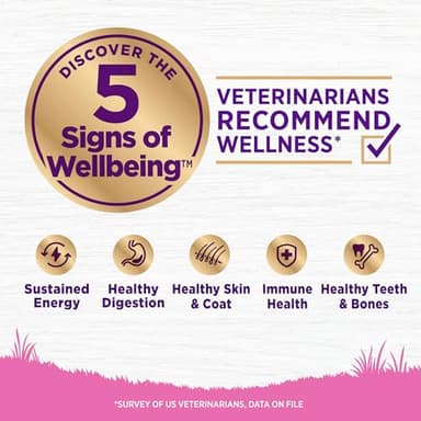 Wellness Complete Health Dry Dog Food for Small Dogs, Toy Breed, Wholesome Grains, Natural, Chicken, Brown Rice, & Peas Recipe, 4-Pound Bag - Image 2