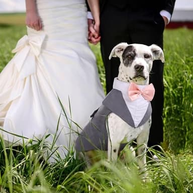 PUMYPOREITY Dog Tuxedo and Bandana Set, Formal Gentleman Dog Attire with Bowtie for Weddings, Birthdays, 2 Pieces/Pack, L, Grey - Image 5