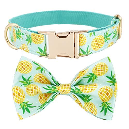 Pineapple Dog Collar with Bow, Dog Bow Collar,Wedding Dog Collar (XS) - Image 1