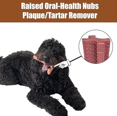 SPOT Bam-Bones Plus T Bone - Bamboo Fiber & Nylon Dog Chew Toy for Moderate to Aggressive Chewers, Non-Splintering, Long-Lasting, 7in Beef Flavor, for Adult Dogs & Teething Puppies Under 90lbs - Image 10