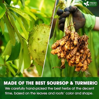 FreshDrinkUS, Premium 60 Soursop Turmeric Tea Bags, 100% Natural, Blend of Soursop Leaves, and Turmeric Root. Made with Natural Material Tea Bags. No Sugar, Vegan. - Image 6