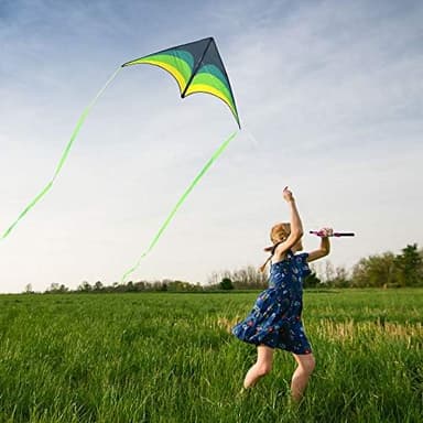 Mint's Colorful Life Delta Kite for Kids & Adults, Extremely Easy to Fly Kite, Best Kites for Beginner - Image 5