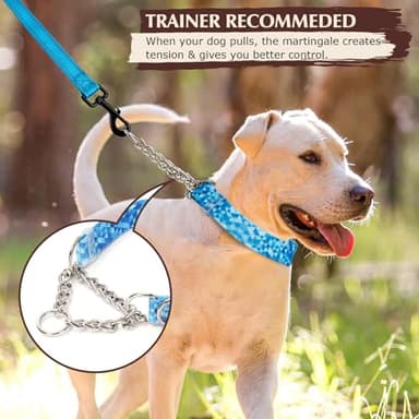 Martingale Collar for Dogs with Blue Geometric Diamonds, Trainer Approved Limited Slip Collar with Stainless Steel Chain, Adjustable No Choke Dog Collar, Perfect for Training, Walking, Hunting (M) - Image 2