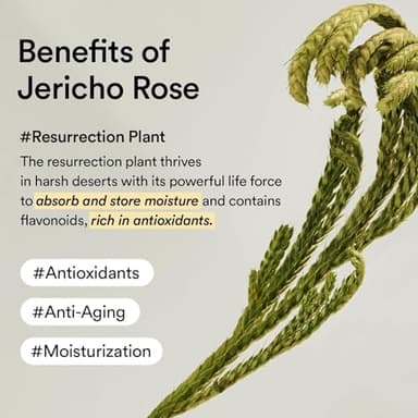 Abib Collagen Eye Patch Jericho Rose Jelly 60 Patches, Korean Under Eye Patches for Puffy Eyes and Dark Circles, Anti-Wrinkle, Collagen, Caffeine, Niacinamide, Ceramide, Antioxidant, Skin Care - Image 6