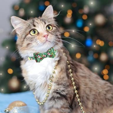 PUPTECK Puppy Collar with Bell XXS Dog Collar Charm Adjustable Bowtie Soft Leather for Cats Kittens Extra Small Dogs 2 Packs - Image 7