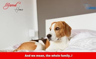 Yamel Home - Queen Size Bed Sheet Set - Luxurious Feeling - 2000 - Breathable & Cooling Sheets- Deep Pockets fit up to 16'' - Wrinkle Free - Supreme Collection - Silver, Queen - Image 7