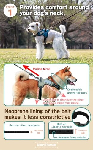 Liberte harness Dog Harness No Pull Name Plate Attachable (Turquoise, Medium, 11-22lb) - Image 3