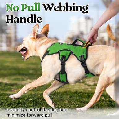 rabbitgoo Escape Proof Dog Harness, Soft Padded Full Body Pet Harness, Reflective Adjustable No Pull Vest with Lift Handle and Lesh Clip for Large Dogs Walking Hiking Training, M, Green - Image 5