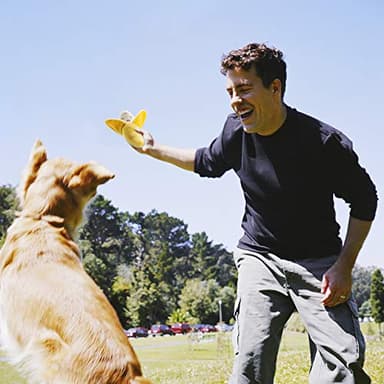 Nocciola Dog Squeaky Toys, Plush Small Dog Toys for Dogs, Stuffed with Squeakers,12 pcs Puppy Toys with a Carrying Bag for Small Medium Size - Image 7