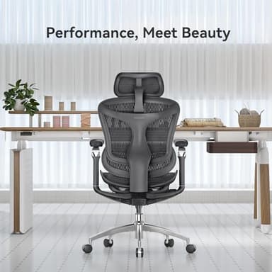 SIHOO Ergonomic Office Chair with Ultra-Soft Lumbar Support - Image 8