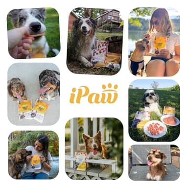 iPaw Chicken Tots Dog Treats for Puppy Training, All Natural Human Grade Dog Treat, Hypoallergenic, Easy to Digest (Chicken Tots) - Image 8