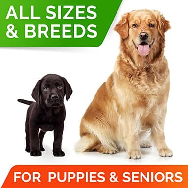 StrellaLab Dog Probiotics Treats for Picky Eaters - Digestive Enzymes + Prebiotics - Chewable Fiber Supplement - Allergy, Diarrhea, Gas, Constipation, Upset Stomach Relief - Improve Digestion&Immunity - Image 7