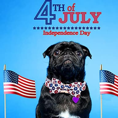 Bobo Rainbow Independence Day Dog Collar, American Flag Bowtie Dog Collar Pet Collar Bow Tie Collar for Dogs Soft Durable Adjustable Dog Collars for Medium Dogs - Image 5