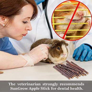 Natural Apple Sticks 10oz(300g) Small Animals Molar Wood Treats Toys Chinchilla Guinea Pig Hamster Rabbit Gerbil Parrot Bunny and Small Animals Chew Stick Toys Treats - Image 4