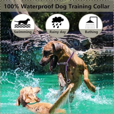 Red Dog Collar - 26'' Adjustable Waterproof PVC Slip Collar for Dog Show & Training - Image 5
