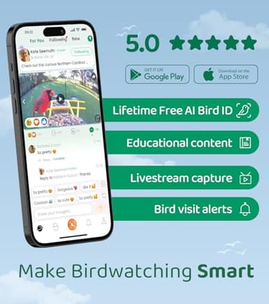 HIXX Smart Bird Feeder with Camera, Lifetime Free AI Bird Species Recognition, Solar-Powered Video Birds Feeder for Outdoors with HD Camera, Mounts Anywhere (Green) - Image 3